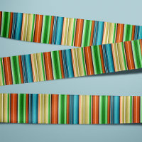 Serape Summer Vibrant