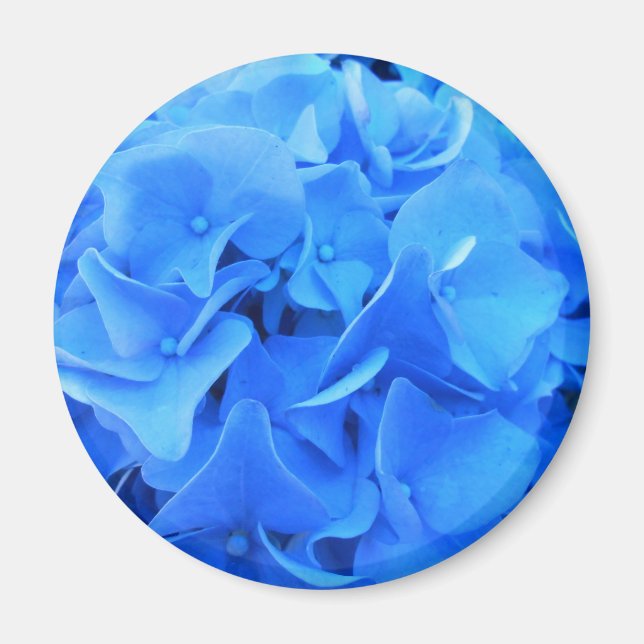 Seraphine Magnet (Front)