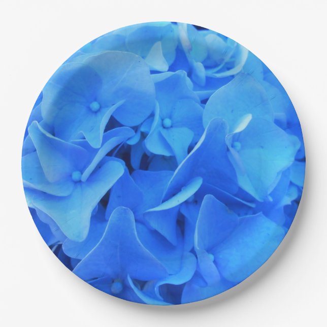 Seraphine Paper Plate (Front)