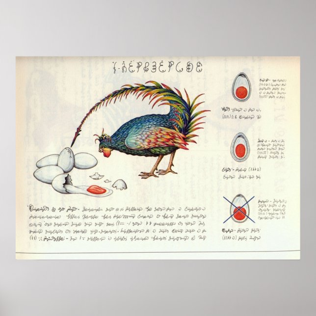 Seraphinianus codex poster (Front)