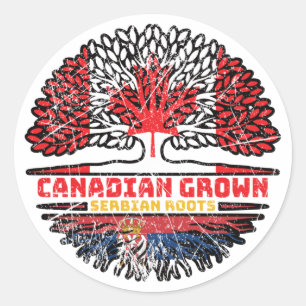Serbia Serbian Canadian Canada Tree Roots Flag Classic Round Sticker