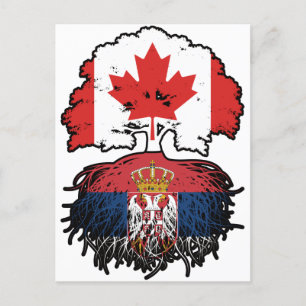 Serbia Serbian Canadian Canada Tree Roots Flag Postcard