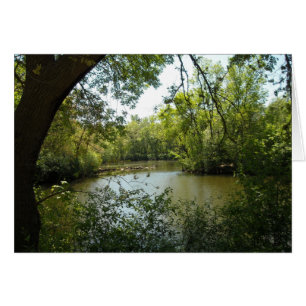 serene