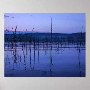 Serene and misty lake after heavy rain poster