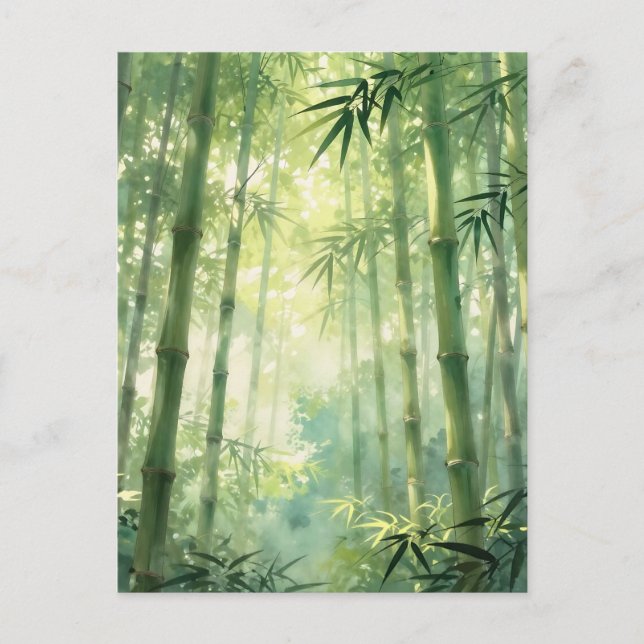 Serene Bamboo Forest Mist Glow Postcard (Front)