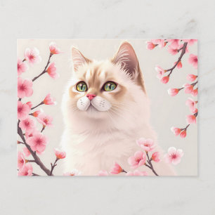 Serene Birman Cat Portrait With Cherry Blossoms Postcard