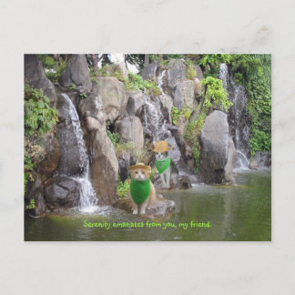 Serene Bubba Postcard