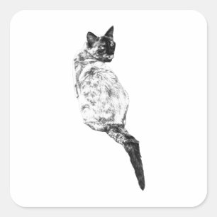 Serene Cat Grooming Design Square Sticker
