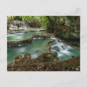 Serene Forest Waterfall Pools Postcard