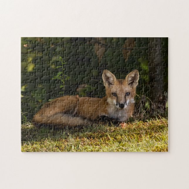 Serene Fox   Jigsaw Puzzle (Horizontal)