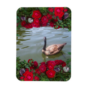Serene Goose Of Wild Rose Pond Magnet