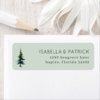 Serene Gray Conifer Tree