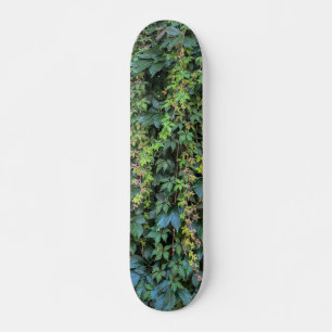 Serene Green Ivy Wall Hanging Vines Plant Leaves Skateboard