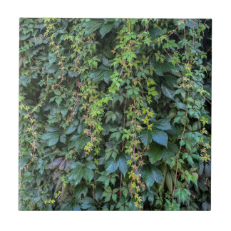 Serene Green Ivy Wall Hanging Vines Plant Leaves Tile