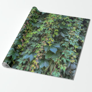 Serene Green Ivy Wall Hanging Vines Plant Leaves Wrapping Paper