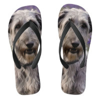 Serene Majesty: Wolfhound Sitting in a Purple Iris