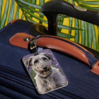 Serene Majesty: Wolfhound Sitting in a Purple Iris