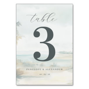 Serene Pastel Beach Scene Table Number