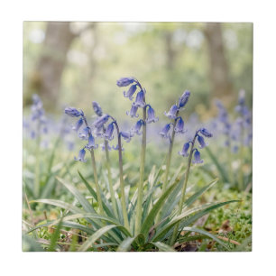Serene Purple Bluebell Woodland Bloom Tile