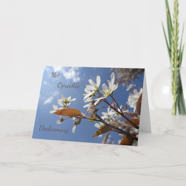 Serene Raisin Blossom Sympathy Dutch Greeting Card (Front)