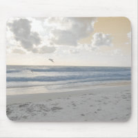 Serene Sea