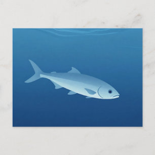 Serene Silver Fish Blue Ocean Postcard
