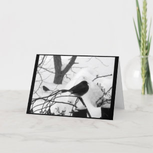 Serene Snowbird Christmas Card