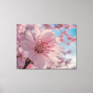 Serene Spring Flower Art Canvas Print