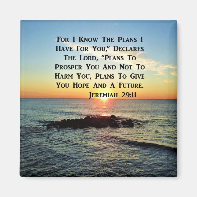 SERENE SUNRISE JEREMIAH 29:11 SCRIPTURE DESIGN MAGNET (Front)