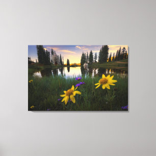 Serene Sunrise over a Colorado Pond Canvas Print