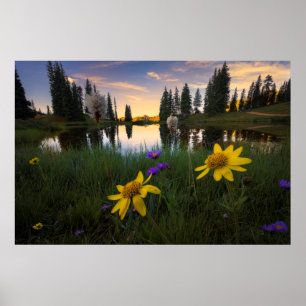 Serene Sunrise over a Colorado Pond Poster