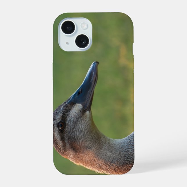Serene Sunset Silhouette iPhone 15 Case (Back)
