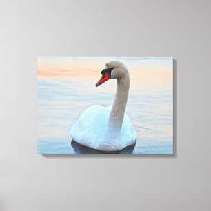 Serene Swan Canvas Print