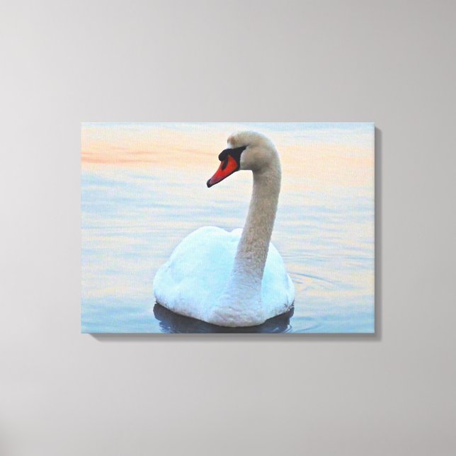 Serene Swan Canvas Print (Front)