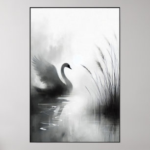 Serene Swan In Still Waters Poster
