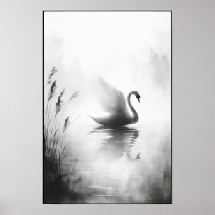 Serene Swan In Still Waters Poster