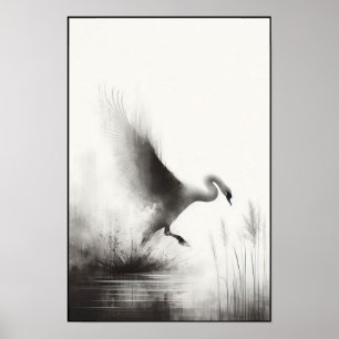 Serene Swan In Still Waters Poster