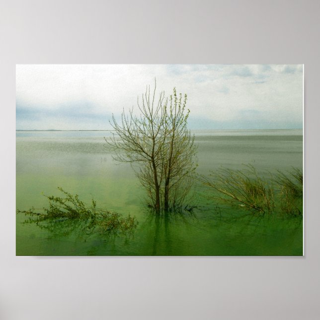 Serene Waterscape Landscape Poster (Front)