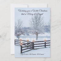 Serene Winter Landscape Snow-draped Trees
