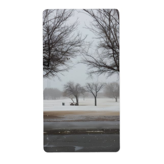 Serene Winter Snowfall Park Landscape (Front)