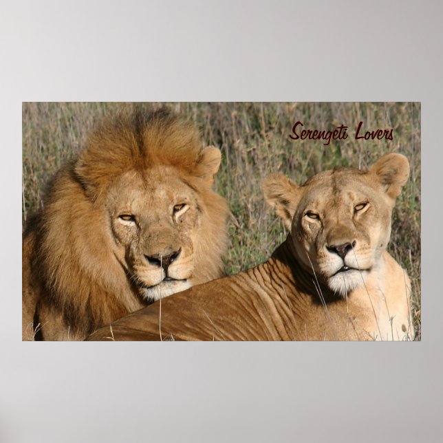 Serengeti Lovers - Print (Front)