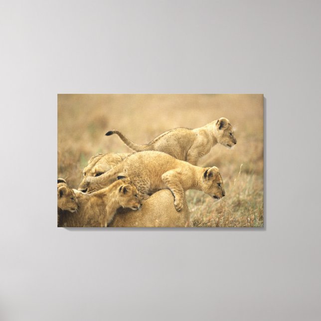 Serengeti National Park, Tanzania 2 Canvas Print (Front)