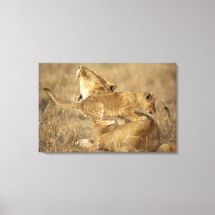 Serengeti National Park, Tanzania Canvas Print