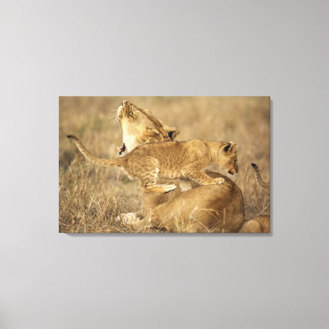 Serengeti National Park, Tanzania Canvas Print (Front)