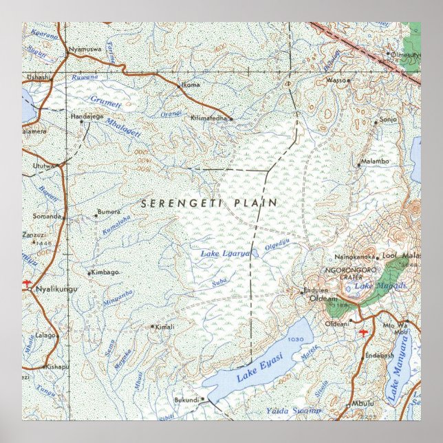 Serengeti Plain Vintage Map Poster (Front)