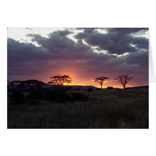 Serengeti_Sunset (Front Horizontal)