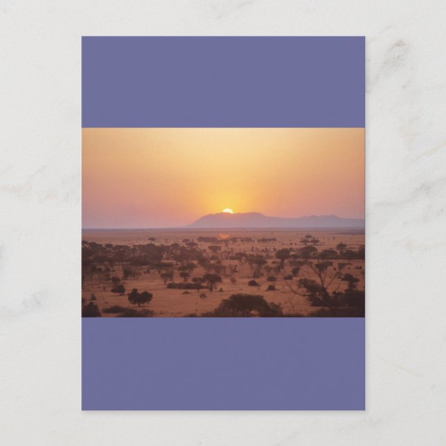 Serengeti Sunset Postcard (Front)