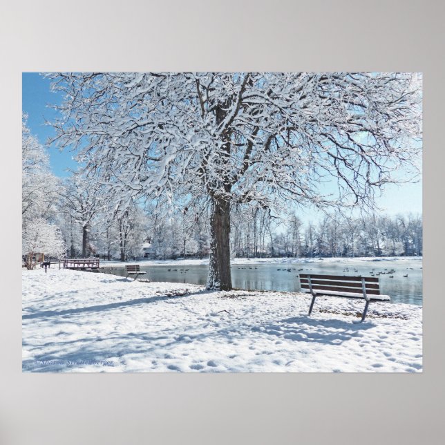 SERENITY AT OLANDER PARK/FIRST SNOW FALL POSTER (Front)