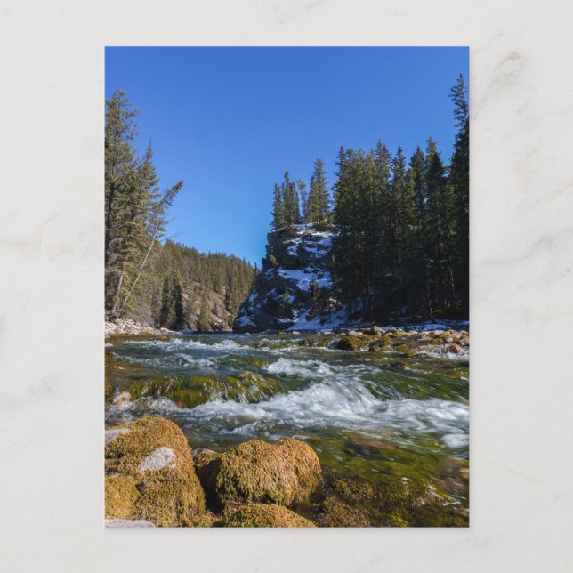 Serenity at the 5th Bridge - Athabasca River  Postcard (Front)