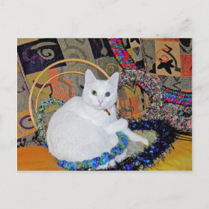 Serenity encircled Postcard